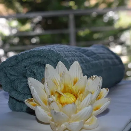 Davidana Deluxe Nea Kallikrateia